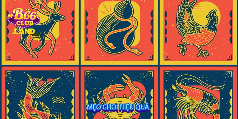 Mẹo chơi hiệu quả